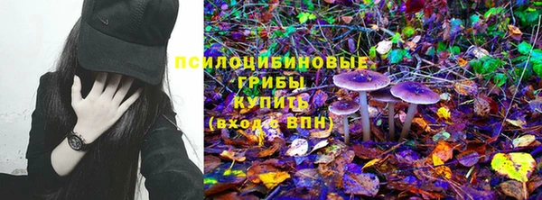 спиды Аркадак